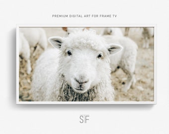 Mouton, animal de la ferme, cadre pour téléviseur Samsung, décoration d'intérieur bohème et rustique (téléchargement numérique)