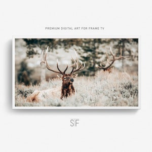 Deer Frame TV Art: Rustic Nature Photography (Digital Download)
