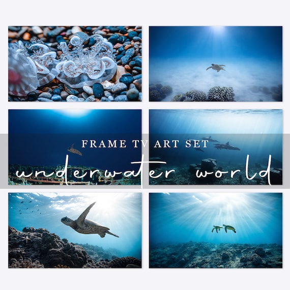 Unterwasser Ozeanfotografie