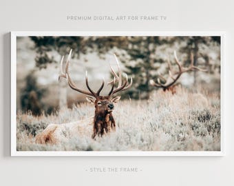 Deer Frame TV Art: Rustic Nature Photography (Digital Download)