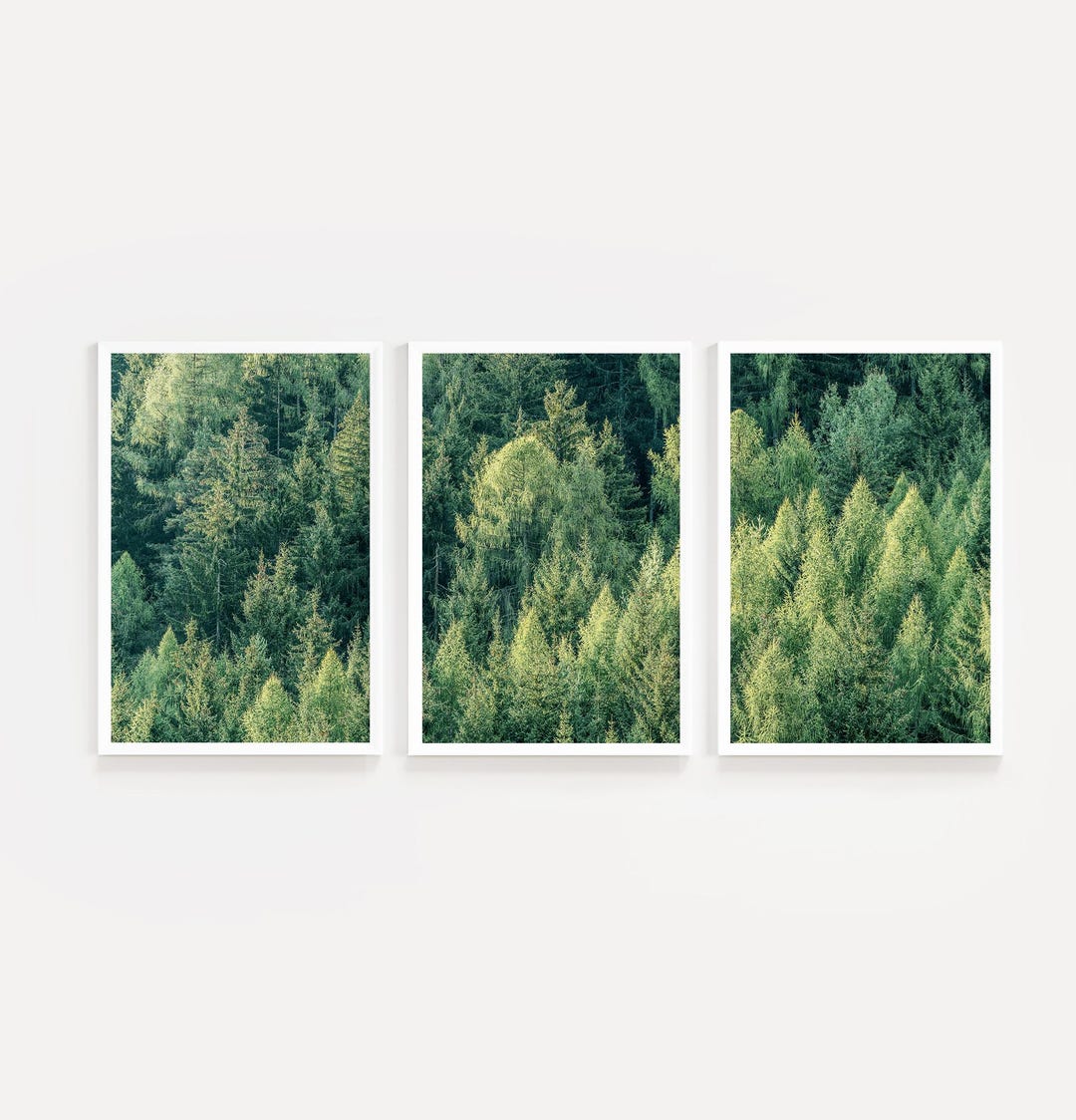 Green Forest Print Set: Printable Trees Canopy Nature Photography Wall ...