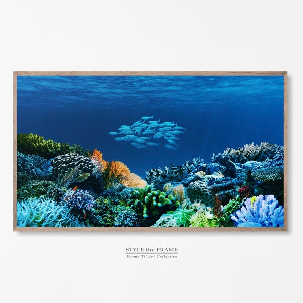 Samsung Frame TV Art, Ocean Coral Reef Art, Digital Aquarium, Undersea Digital Art, Instant Download Samsung, Diving Photography Frame TV