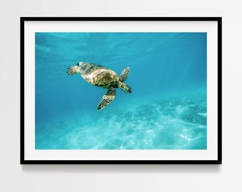 Sea Turtle Photography Print, Tropical Ocean Wall Art, Underwater Coastal Decor