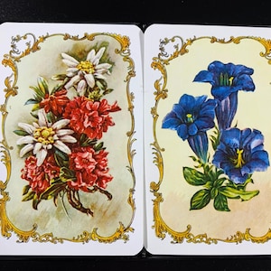 Cartas de baralho vintage Ferd Piatnik & Sons Vienna, baralho duplo floral, pacote com 1