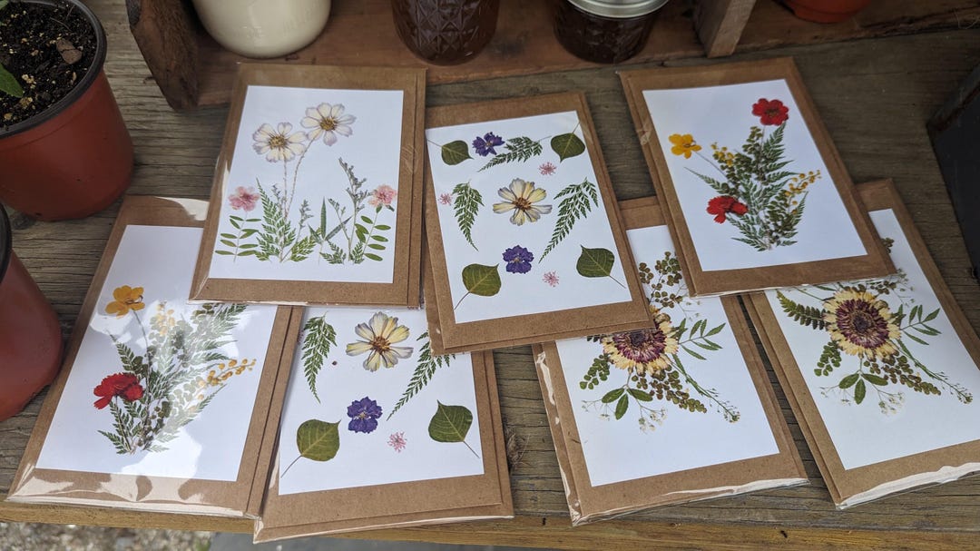 Pressed Flower Greeting Cards – All-occasion Botanical Cards From ...
