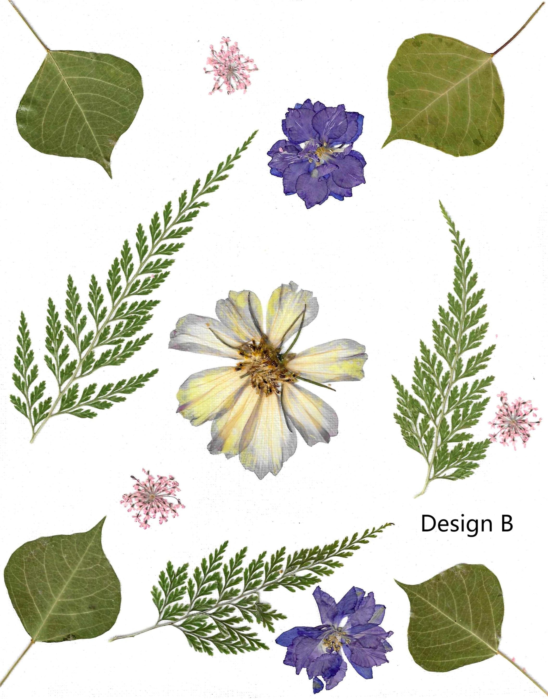 Pressed Flower Greeting Cards – All-occasion Botanical Cards From ...