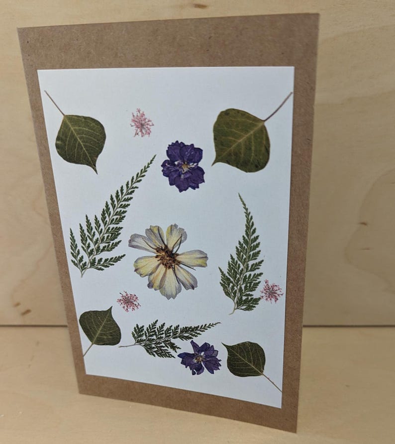 Pressed Flower Greeting Cards – All-occasion Botanical Cards From ...