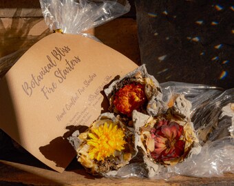 Encendedores Botanical Bliss • Juego de 10 • Cera de abejas recuperada • Encendedores de manzanilla y flores secas • Regalo ecológico