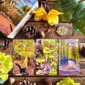 May include: Three tarot cards from the Walking Meditation Tarot deck. The cards are The Tower, Wheel of Fortune, and The Hierophant. The cards feature nature scenes with a forest, mushrooms, and a path.