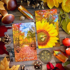 May include: Two tarot cards, the Ace of Pentacles and the King of Pentacles, are displayed on a wooden surface with autumnal decor. The Ace of Pentacles shows a path through a forest with fall foliage, while the King of Pentacles features a sunflower with a bee.