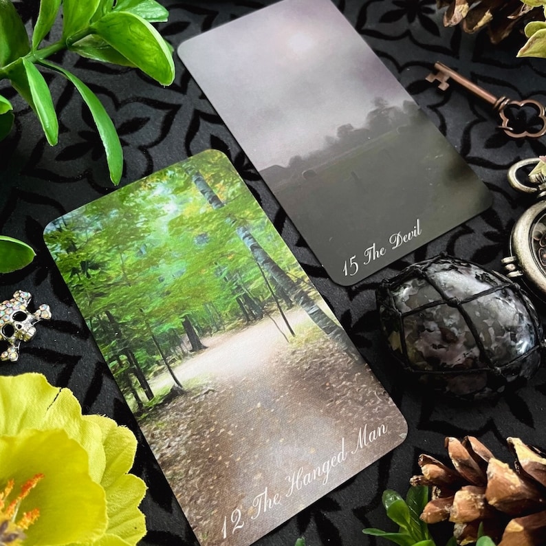 May include: Two tarot cards on a black background. The card on the left is The Hanged Man, depicting a forest path. The card on the right is The Devil, showing a foggy landscape.