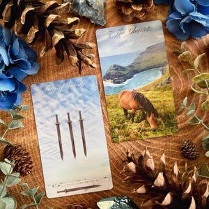 May include: Two tarot cards on a wooden surface surrounded by pine cones and blue flowers. The card on the left is the Four of Swords, depicting three swords standing upright and a fourth sword lying horizontally. The card on the right is the Chariot, showing a horse grazing in a field with a body of water and a cliff in the background.