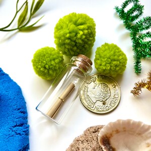 Pu&ograve; includere: Una bottiglia di vetro con un tappo di sughero che contiene un pezzo di carta arrotolato. La bottiglia &egrave; circondata da pompon verdi, una moneta d'oro e sabbia blu.