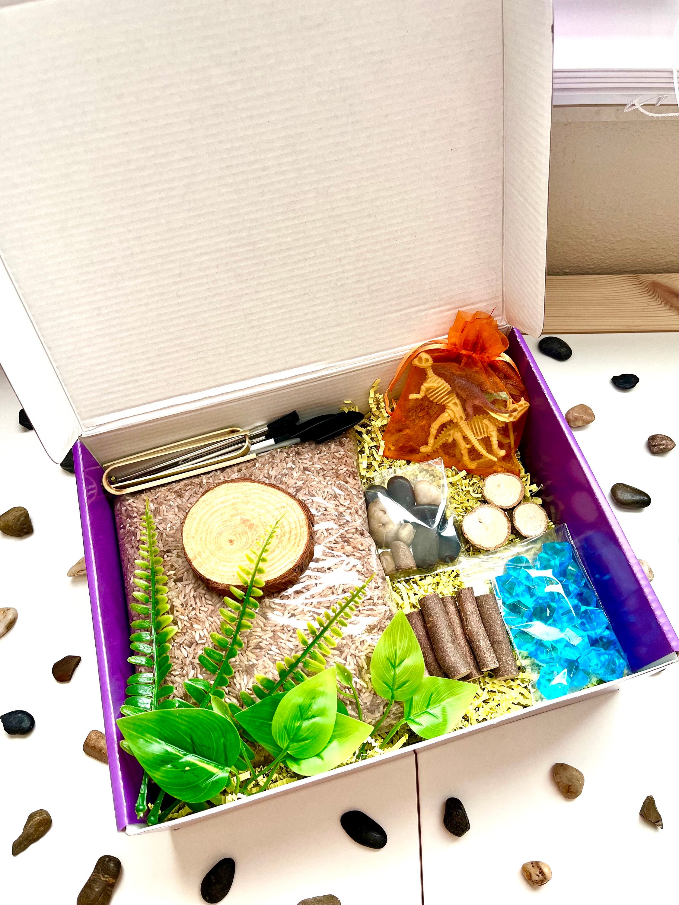 Dinosaur Excavation Pour & Play Sensory Kit | Flisat Activity Kit ...