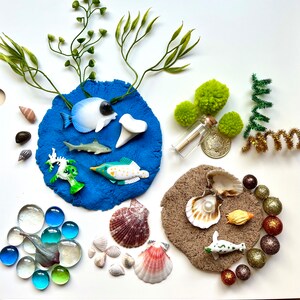 Pu&ograve; includere: Un vassoio di plastilina blu con una variet&agrave; di giocattoli marini, tra cui uno squalo, un cavalluccio marino, un pesce e una conchiglia. Ci sono anche alcune gemme di vetro e una piccola bottiglia con un tappo.