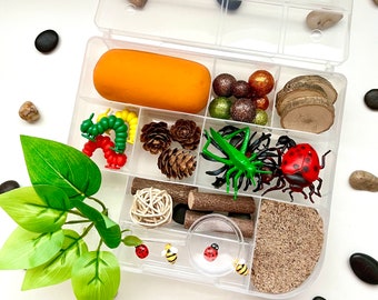Bug Sensory Kit | Play Dough Sensory Bin | Spring | Toddler Gift | Busy Box | Spring | Insect Activity Kit | Sensory Sand
