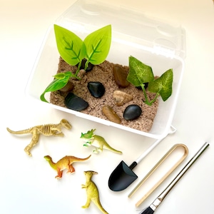 Dinosaur Excavation Mini Sensory Bin | Dino Dig | Sensory Sand Kit | Toddler Gift | Prehistoric | Busy Box