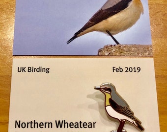 Northern Wheatear Enamel Pin Badge