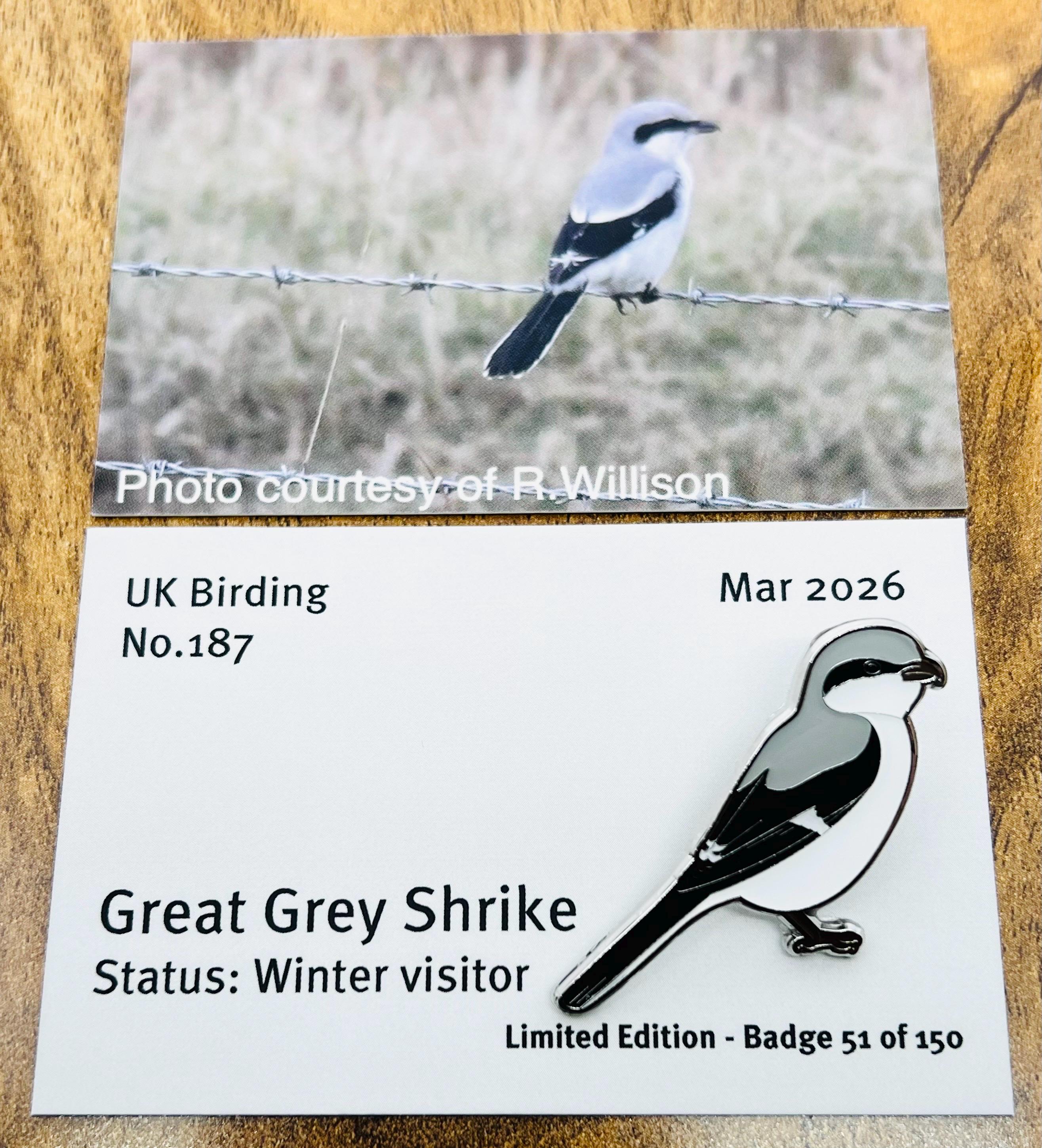 UKBirdingPins - Etsy 日本
