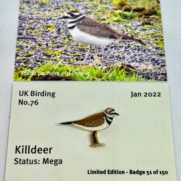 Killdeer - No.76 - UK Birding - Enamel Pin Badge