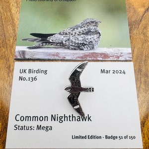 Common Nighthawk - No.136 - Série de observação de pássaros no Reino Unido