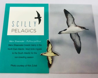 May include: A white and black Manx Shearwater bird pin with a light blue background. The text "SCILLY PELAGICS" is printed in black on a white background. The text "Manx Shearwater - Puffinus puffinus" is printed in black on a light blue background. The text "Manx Shearwater breeds mainly in the North East Atlantic. Most birds migrate to the South Atlantic for the non-breeding season." is printed in black on a light blue background. The text "Photo courtesy of Kirk Zufelt" is printed in black on a light blue background.