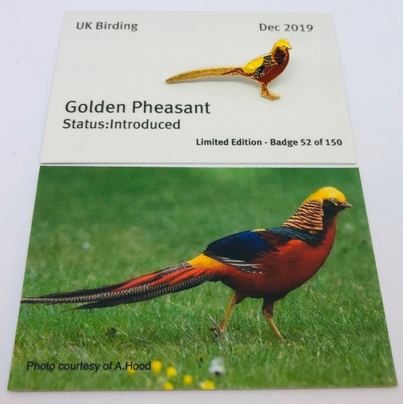 Pheasant pin deals