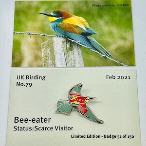 Puede incluir: Un pin de esmalte verde, rojo y amarillo de un abejaruco en vuelo. El pin está etiquetado como "Bee-eater" y "Status: Scarce Visitor". Es una insignia de edición limitada, número 51 de 150.