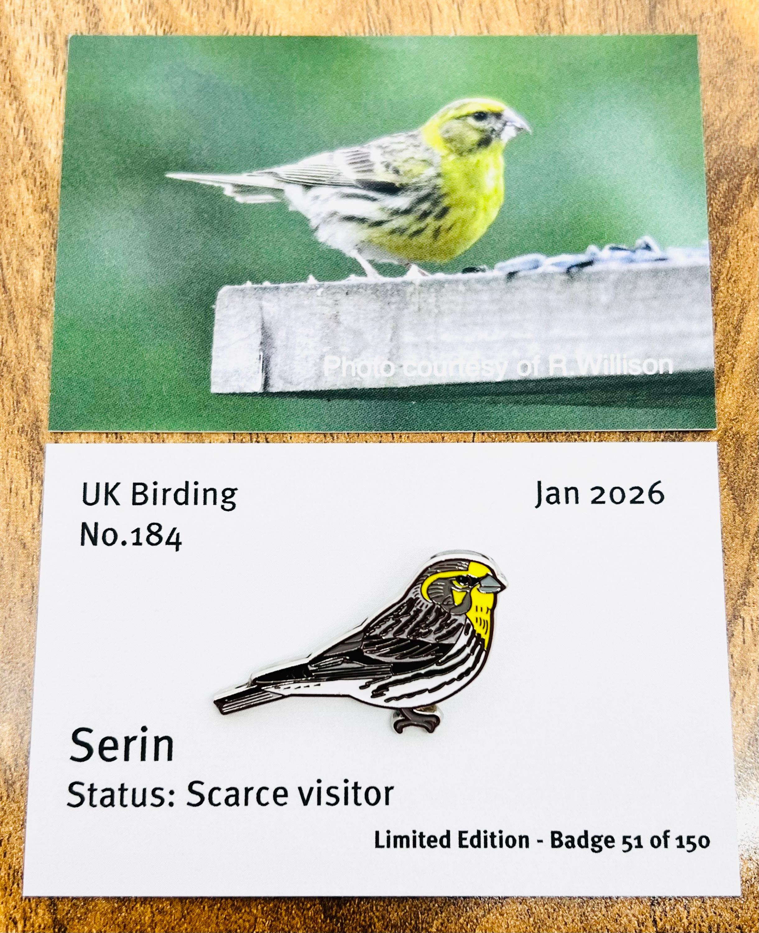 UKBirdingPins - Etsy 日本