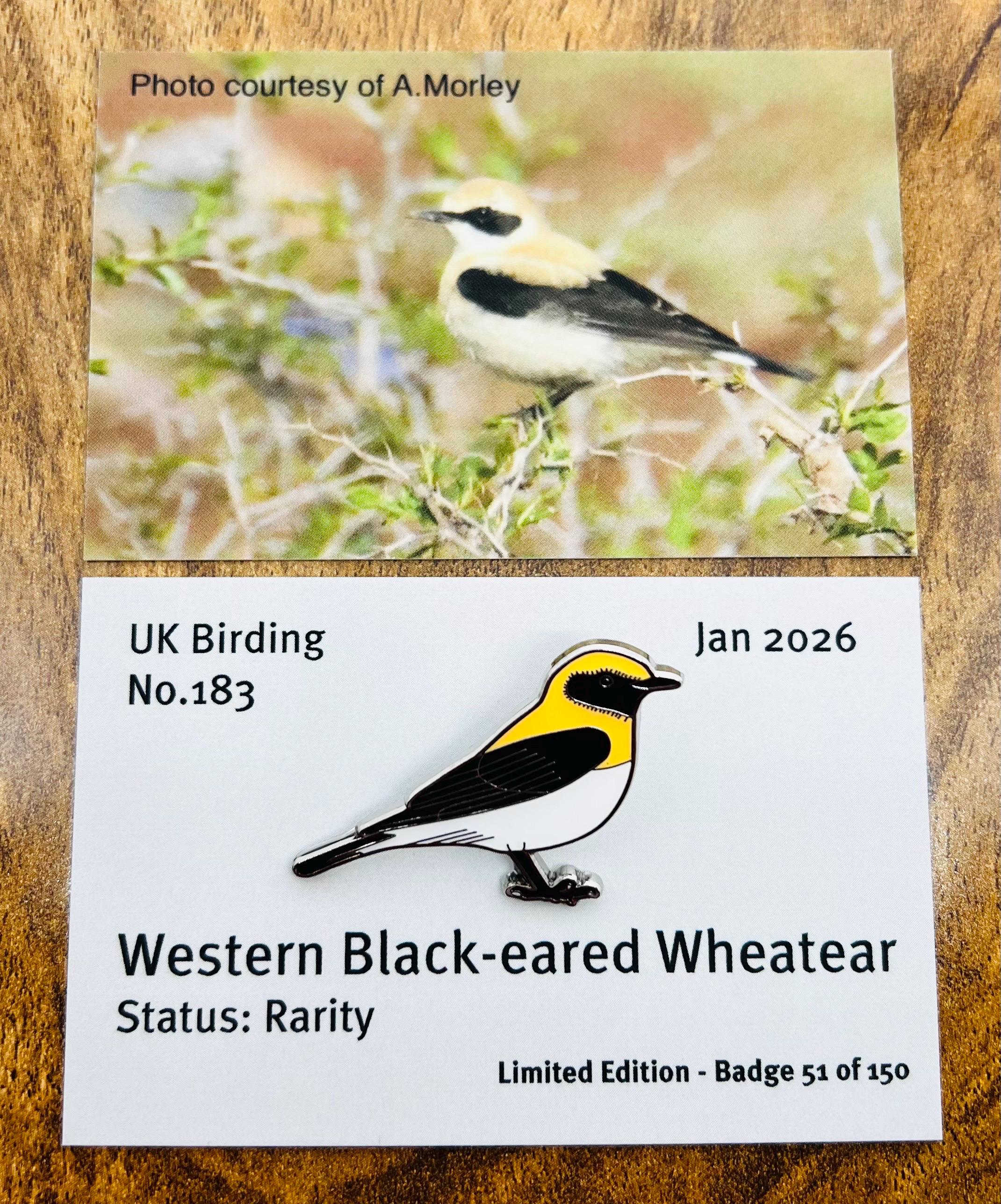 UKBirdingPins - Etsy 日本