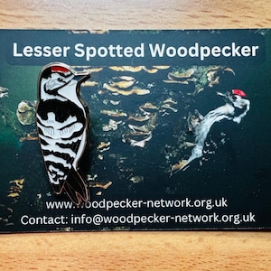 Kleiner Buntspecht Pin Abzeichen - The Woodpecnetwork - Emaille Pin Abzeichen