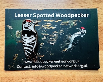 Lesser Spotted Woodpecker Pin Badge - The WoodpecNetwork - Enamel Pin Badge