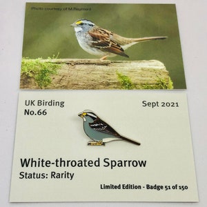 White-throated Sparrow - UK Birding - Enamel Pin Badge