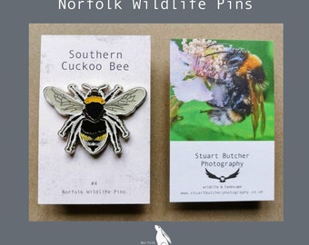 Puede incluir: Dos tarjetas con pines de Norfolk Wildlife. Una tarjeta presenta un pin de abeja Southern Cuckoo con detalles en negro, amarillo y plateado. La otra muestra una fotografía de una abeja en una flor. El texto incluye "Norfolk Wildlife Pins" y "Stuart Butcher Photography."