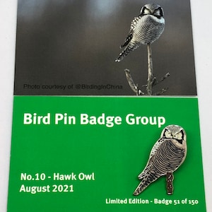 Hawk Owl Enamel Pin Badge