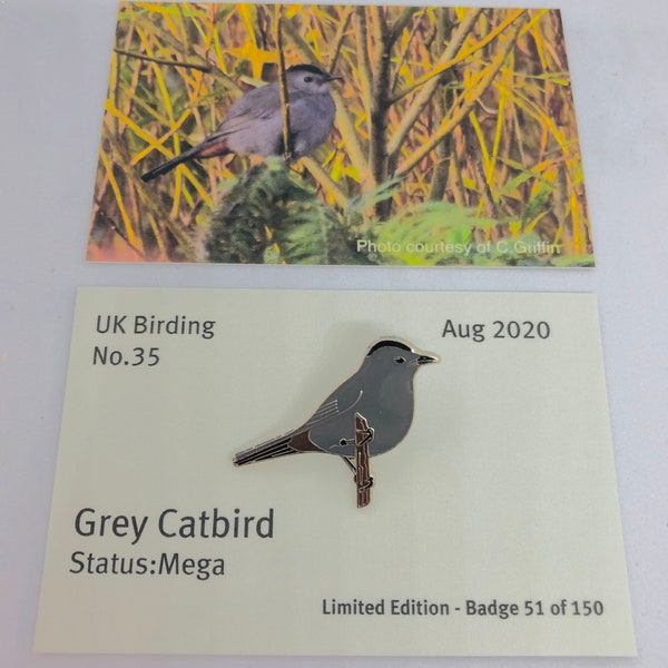 Oiseau chat gris - Observation des oiseaux au Royaume-Uni - Badge épingle en émail