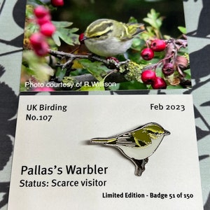 Könnte beinhalten: Eine silberne Anstecknadel mit einem grünen und gelben Pallas's Warbler Vogeldesign. Die Nadel befindet sich auf einer weißen Karte mit dem Text "UK Birding No. 107 Pallas's Warbler Status: Seltener Besucher Feb 2023 Limited Edition - Badge 51 of 150".