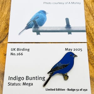 Op de afbeelding: Twee kaarten met afbeeldingen van een Indigo Bunting vogel. Eén kaart toont een foto van de vogel op een metalen staaf. De andere kaart toont een blauwe emaille pin van de vogel, met de tekst "UK Birding No.166" en "Indigo Bunting".
