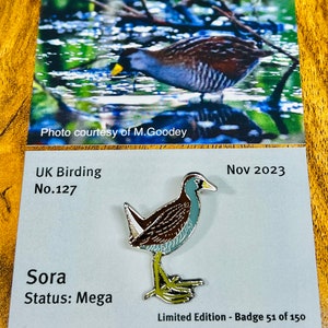 Sora - No.127 - UK Birding Series