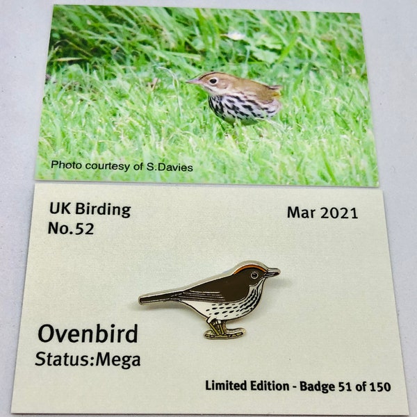 Ovenbird - UK Birding - Enamel Pin Badge