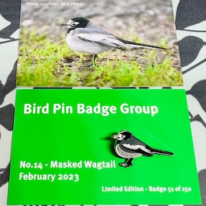 Puede incluir: Una tarjeta verde con el texto "Bird Pin Badge Group" y "No.14 - Masked Wagtail" y "February 2023". Un pin de insignia de plata de un pájaro lavandera de cabeza negra y blanca está en la tarjeta. La tarjeta también dice "Limited Edition - Badge 51 of 150".
