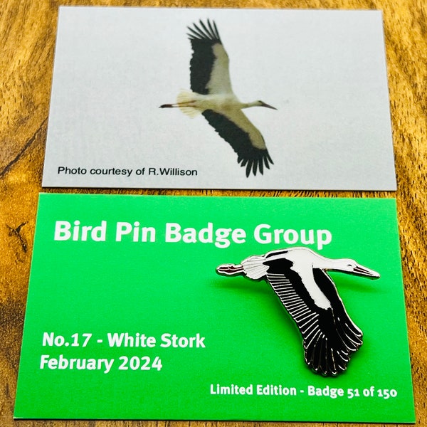 Bird Pin - Etsy