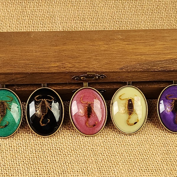 Real Scorpion Pendant Necklace: Bronze Alloy, 20" Chain