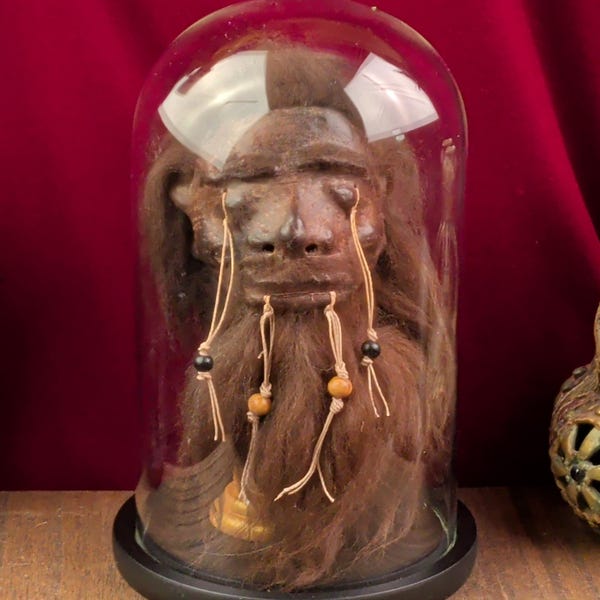 Shrunken Head & Glass Dome Display, Oddities Decor, Unique Room Decor, Curiosity Cabinet, Taxidermy Art