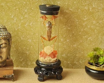 Mummified Frog Display in Gothic-style Glass Canister, Oddity Collectible, Gothic Decor, Victorian Style Display