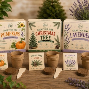 Grow Your Own Kit | Lavender, Pumpkin or Spruce Tree | DIY Plant Growing Gift | Kids STEM Activity | Gardening Gift | Eco Kit