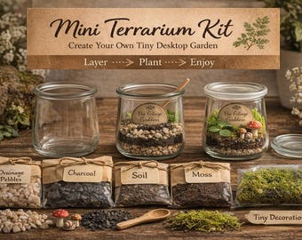 May include: A mini terrarium kit featuring three glass jars, one empty and two containing soil, pebbles, and moss. Includes labeled paper pouches of drainage pebbles, charcoal, soil, and moss, plus tiny mushroom and snail decorations.