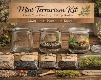DIY Zen Terrarium, Mindfulness Garden, Indoor Garden, Terrarium Starter  Relaxation , Plant Lover, Beginner Friendly, Birthday Co-worker kit