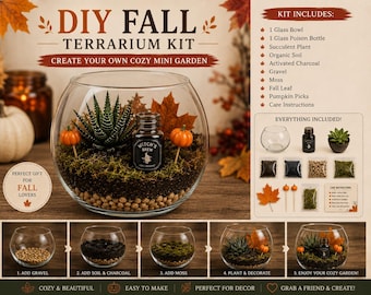 Kit de terrarium d'automne à faire soi-même | Kit de plantes succulentes d'automne | Terrarium citrouille | Kit de bricolage d'automne | Décoration intérieure chaleureuse | Cadeau pour les amoureux des plantes | Cadeau de Thanksgiving