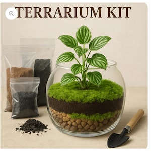 Create your own terrarium Kit Sustainable Collection
